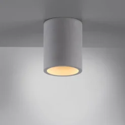 Luminaires Paul Neuhaus Plafonniers|Plafonnier Paul-Neuhaus ETON Gris, Noir, 1 lumière