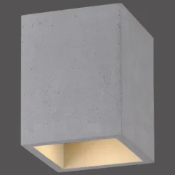 Luminaires Paul Neuhaus Plafonniers|Plafonnier Paul-Neuhaus ETON Gris, Noir, 1 lumière