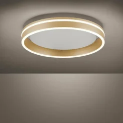 Plafonnier Paul-Neuhaus Q-VITO LED Laiton, 1 lumière, Télécommandes