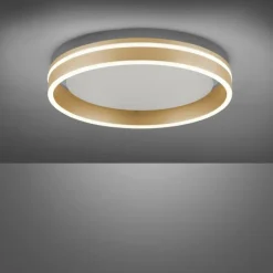 Plafonnier Paul-Neuhaus Q-VITO LED Laiton, 1 lumière, Télécommandes