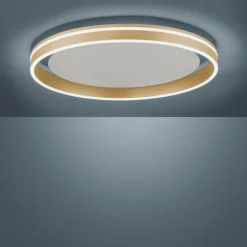 Plafonnier Paul-Neuhaus Q-VITO LED Laiton, 1 lumière, Télécommandes