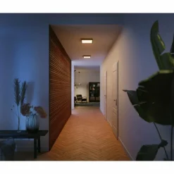 Plafonnier Philips Hue Aurelle LED Noir, Blanc, 1 lumière