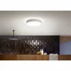 Plafonnier Philips Hue Devere LED Blanc, 1 lumière, Télécommandes