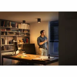 Plafonnier Philips Hue Pillar LED Noir, 1 lumière
