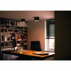 Plafonnier Philips Hue Pillar LED Noir, 2 lumières, Télécommandes