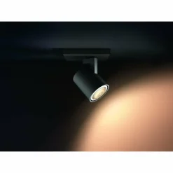 Luminaires Philips Spots Et Projecteurs|Plafonnier Philips Kosipo Noir, 1 lumière