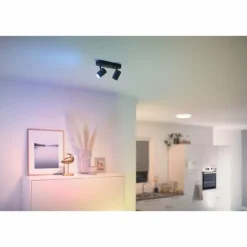 Plafonnier Philips WiZ IMAGEO LED Noir, 2 lumières, Changeur de couleurs