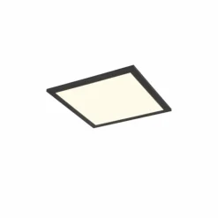Luminaires Reality Éclairage Led|Plafonnier Reality BETA LED Noir, 1 lumière, Télécommandes, Changeur de couleurs
