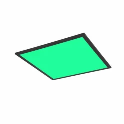Luminaires Reality Éclairage Led|Plafonnier Reality BETA LED Noir, 1 lumière, Télécommandes, Changeur de couleurs