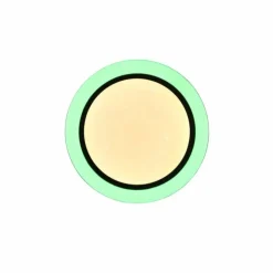Luminaires Reality Éclairage Led|Plafonnier Reality Cartida LED Blanc, 1 lumière, Télécommandes, Changeur de couleurs