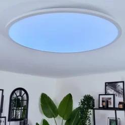 Plafonnier Sani LED Blanc, 1 lumière, Télécommandes, Changeur de couleurs