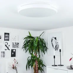 hofstein Éclairage Led|Plafonnier Seewen LED Blanc, 1 lumière, Télécommandes