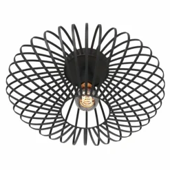 Luminaires Steinhauer Plafonniers|Plafonnier Steinhauer Dunbar Noir, 1 lumière