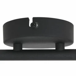 Luminaires Steinhauer Éclairage Led|Plafonnier Steinhauer Natasja LED Noir, 2 lumières