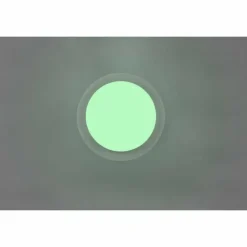 Luminaires Trio Éclairage Led|Plafonnier Trio Frodeno LED Blanc, 2 lumières, Télécommandes, Changeur de couleurs