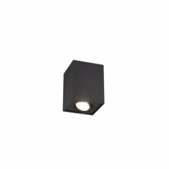 Luminaires Trio Plafonniers|Plafonnier Trio Leuchten BISCUIT Noir, 1 lumière