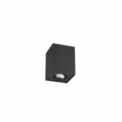 Luminaires Trio Plafonniers|Plafonnier Trio Leuchten BISCUIT Noir, 1 lumière
