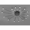 Luminaires Trio Éclairage Led|Plafonnier Trio Peacock LED Noir, 15 lumières