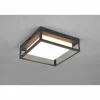 Plafonnier Trio Witham LED Anthracite, 1 lumière