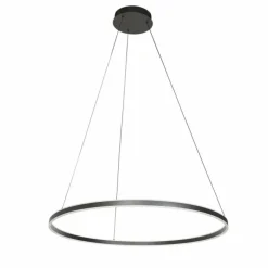Luminaires Steinhauer Éclairage Led|Ringlux Suspension LED Noir, 2 lumières