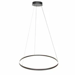 Luminaires Steinhauer Éclairage Led|Ringlux Suspension LED Noir, 2 lumières