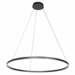Luminaires Steinhauer Éclairage Led|Ringlux Suspension LED Noir, 2 lumières