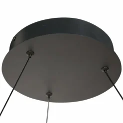 Luminaires Steinhauer Éclairage Led|Ringlux Suspension LED Noir, 2 lumières
