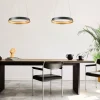 Luminaires Steinhauer Suspensions|Ringlux Suspension LED Noir, 1 lumière