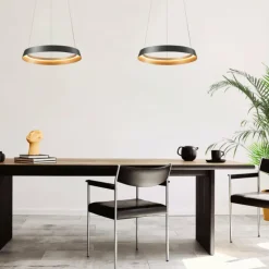 Luminaires Steinhauer Suspensions|Ringlux Suspension LED Noir, 1 lumière