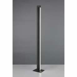 Luminaires Trio Éclairage Led|Seeker Lampadaire LED Noir, 1 lumière