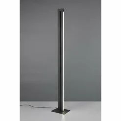 Luminaires Trio Éclairage Led|Seeker Lampadaire LED Noir, 1 lumière