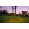 SOLAR Lampe solaire, Eclairage de chemin Luminaires Globo Lighting LED Noir, Transparent, 1 lumière