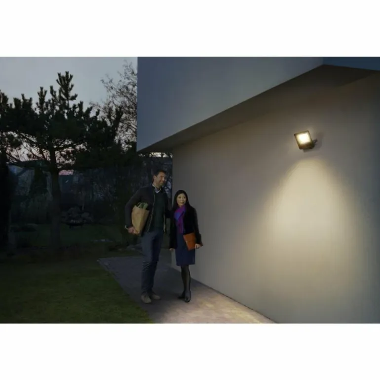 Spot de jardin LEDVANCE SMART+ Gris, 1 lumière, Changeur de couleurs