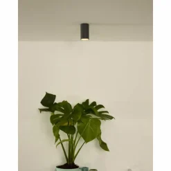 Luminaires Lucide Downlights|Spot de plafond Lucide DELTO LED Gris, 1 lumière
