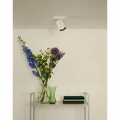 Luminaires Lucide Spots Et Projecteurs|Spot de plafond Lucide NIGEL LED Blanc, 1 lumière