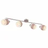 Luminaires Globo Lighting Spots Et Projecteurs|Spot Globo ASHGAAN Nickel mat, 4 lumières