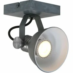 Luminaires Steinhauer Éclairage Led|Spot Steinhauer BROOKLY LED Gris, 1 lumière