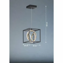 Luminaires Fischer & Honsel Éclairage Led|Suspension Fischer & Honsel Gisi LED Noir, 1 lumière, Télécommandes