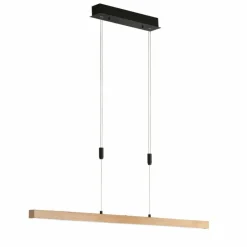 Luminaires Fischer & Honsel Éclairage Led|Suspension Fischer & Honsel Straßburg LED Noir, 1 lumière