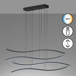 Luminaires Fischer & Honsel Éclairage Led|Suspension Fischer & Honsel Fisk LED Noir, 1 lumière, Télécommandes