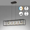Luminaires Fischer & Honsel Suspensions|Suspension Fischer & Honsel Gian LED Noir, 1 lumière, Télécommandes