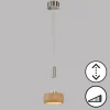 Luminaires Fischer & Honsel Suspensions|Suspension Fischer & Honsel SHINE-WOOD LED Nickel mat, 1 lumière
