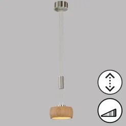 Luminaires Fischer & Honsel Suspensions|Suspension Fischer & Honsel SHINE-WOOD LED Nickel mat, 1 lumière
