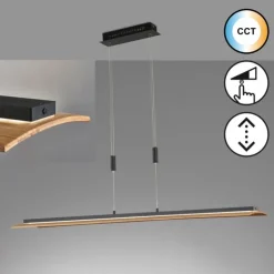 Luminaires Fischer & Honsel Suspensions|Suspension Fischer & Honsel SHINE-WOOD LED Noir, 1 lumière