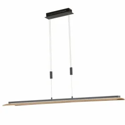 Luminaires Fischer & Honsel Suspensions|Suspension Fischer & Honsel SHINE-WOOD LED Noir, 1 lumière