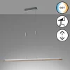 Luminaires Fischer & Honsel Suspensions|Suspension Fischer & Honsel SHINE-WOOD LED Nickel mat, 1 lumière