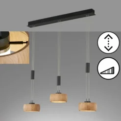 Luminaires Fischer & Honsel Suspensions|Suspension Fischer & Honsel SHINEWOOD LED Noir, 3 lumières