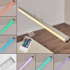 hofstein Suspensions|Suspension Flaut LED Chrome, 1 lumière, Télécommandes, Changeur de couleurs