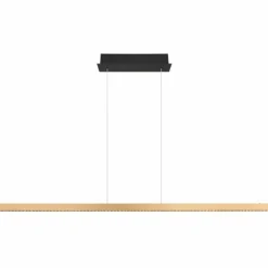 Luminaires Globo Lighting Éclairage Led|Suspension Globo DENTSY LED Noir, 1 lumière