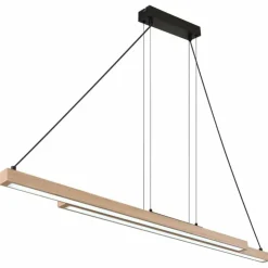 Luminaires Globo Lighting Éclairage Led|Suspension Globo GREKKIE LED Noir, 1 lumière, Télécommandes